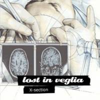 Lost In Veglia : X Section